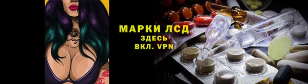 стафф Богородицк