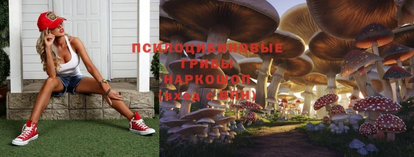 дмт Богородск
