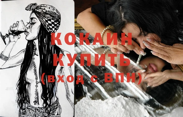 дживик Бородино
