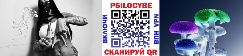 Псилоцибиновые грибы ЛСД  Купить где  Новоалтайск 